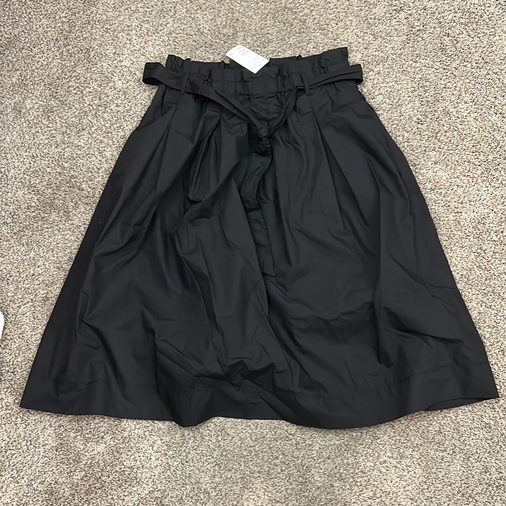 H&M Puffy Skirt